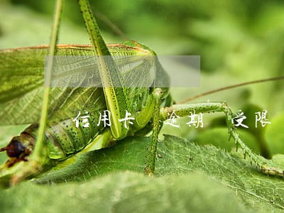信用卡 逾期 受限 信用卡 逾期 受限